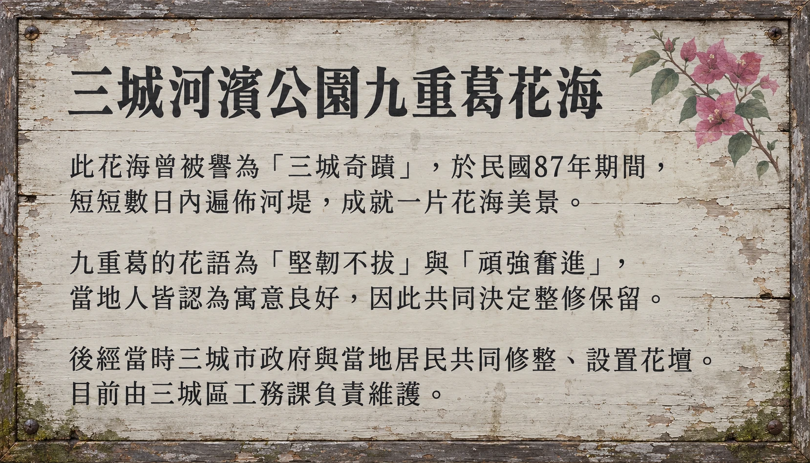 三城河濱公園九重葛花海木牌；完整內容見文字說明。